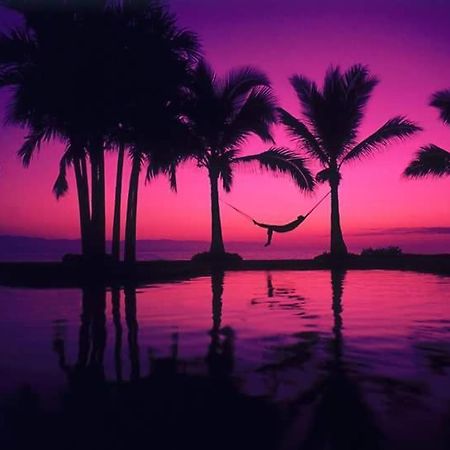 Casa Adriana VIP Backpackers Vandrarhem Puerto Vallarta Exteriör bild
