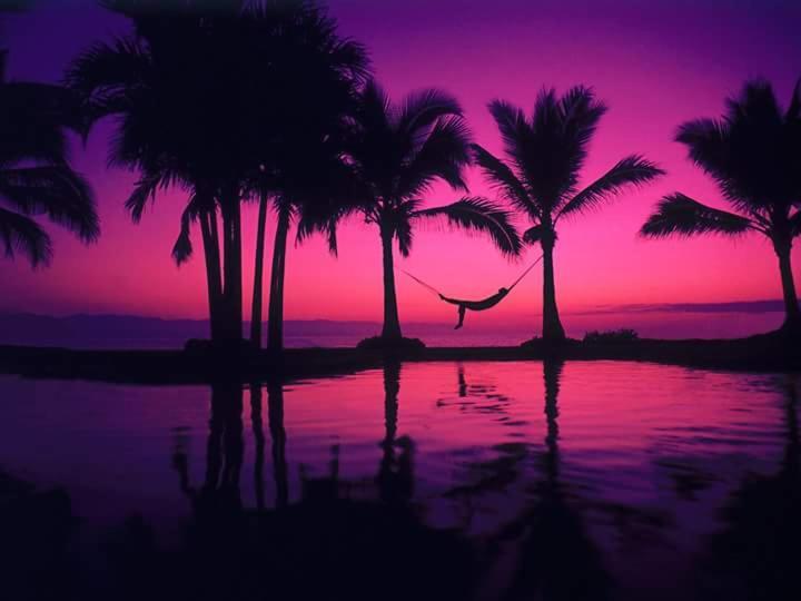 Casa Adriana VIP Backpackers Vandrarhem Puerto Vallarta Exteriör bild