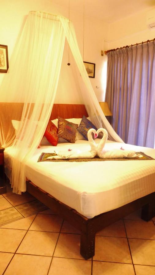 Casa Adriana VIP Backpackers Vandrarhem Puerto Vallarta Exteriör bild